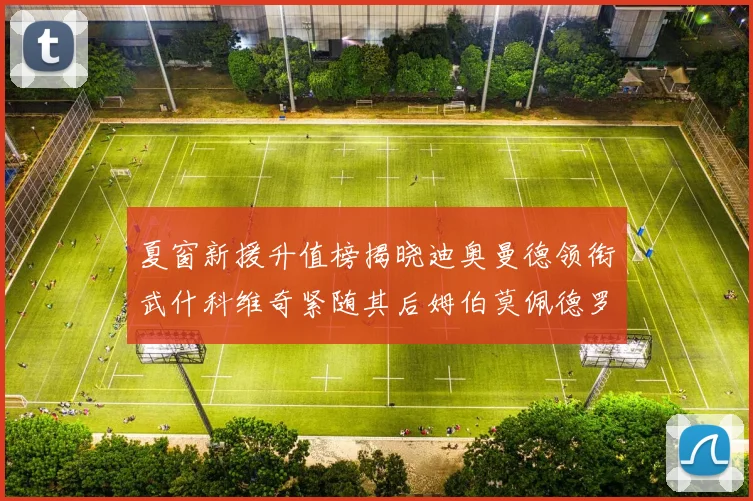 夏窗新援升值榜揭晓迪奥曼德领衔武什科维奇紧随其后姆伯莫佩德罗表现抢眼